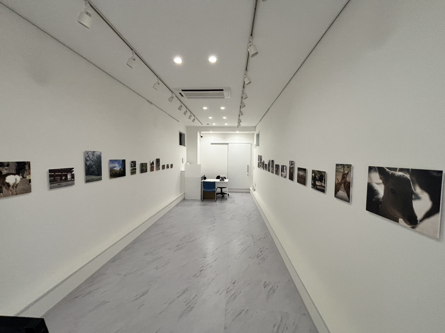 パネル加工で展示された写真展