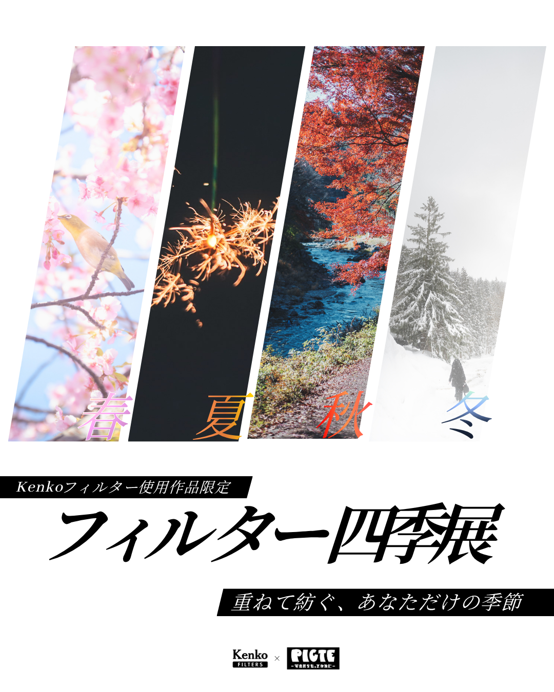 写真展企画 フィルター四季展のフライヤー