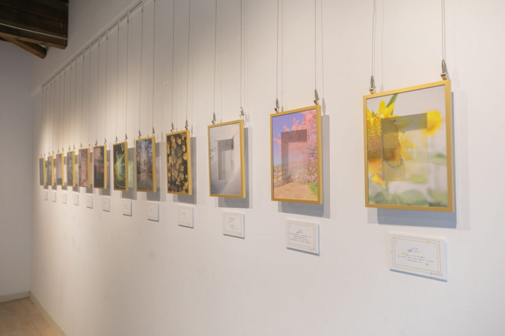 「透き通る写真展」に出展した感想
