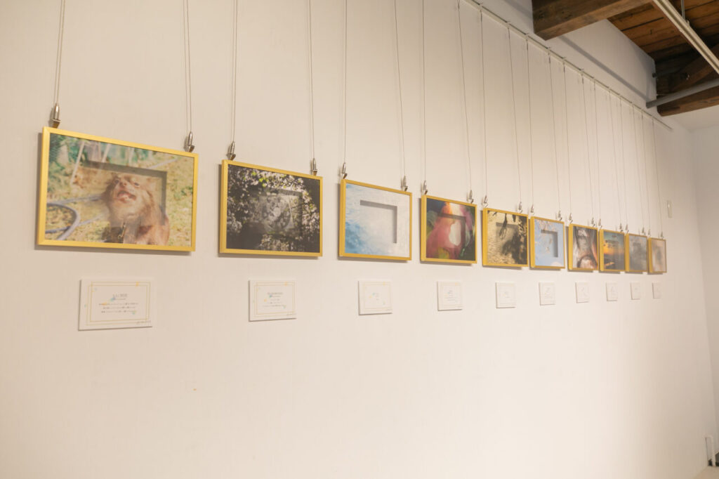 「透き通る写真展」に出展した感想